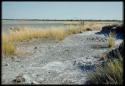 Scenery, Pan: Edge of Gautscha Pan, with a little water left in it in the distance