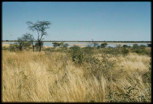 Scenery, Pan: Grass and brush, with Gautscha Pan filled with water in the distance