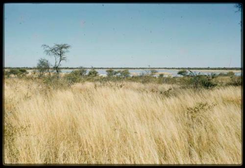 Scenery, Pan: Gautscha Pan filled with water in the distance, with grass in the foreground