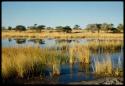 Scenery, Pan: Small pan near Gautscha filled with water