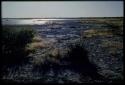 Scenery, Pan: Gautscha Pan with water almost gone, view from ledge