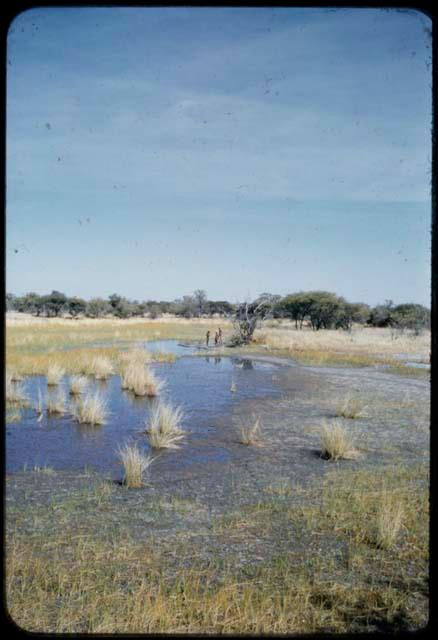 Scenery, Pan: Three men standing next to a small pan near Gautscha, distant view