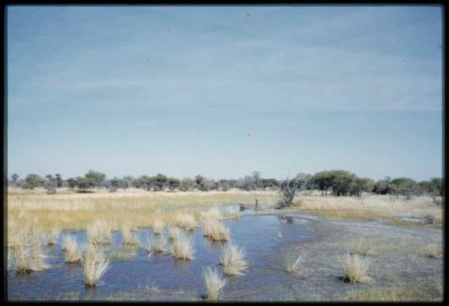 Scenery, Pan: Three men at the edge of a small pan near Gautscha, two bending down to the water, one walking, distant view