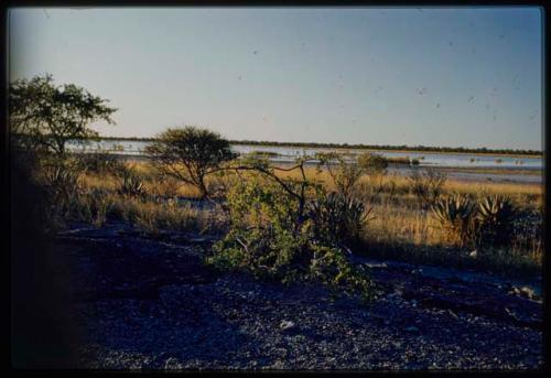 Scenery, Pan: Pan filled with water, in evening light