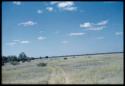 Scenery, Truck: Tracks left in the grass by the expedition trucks near Thinthuma