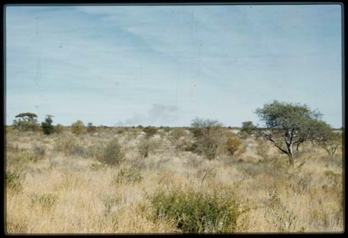 Scenery, Veld: Grass, brush and trees, with smoke from a veld fire in the distance