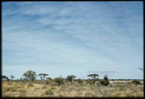 Scenery, Veld: Grass, brush and trees, with smoke from a veld fire in the distance