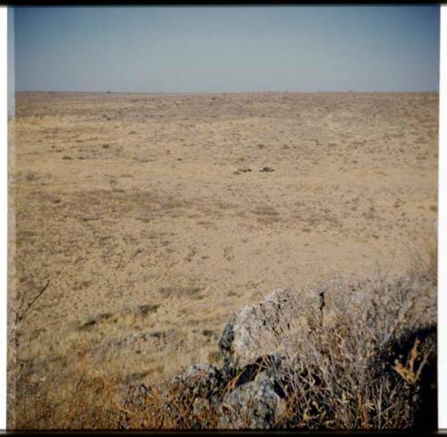 Scenery, Veld: Expedition trucks, distant view from the top of a bank of the Eiseb omuramba