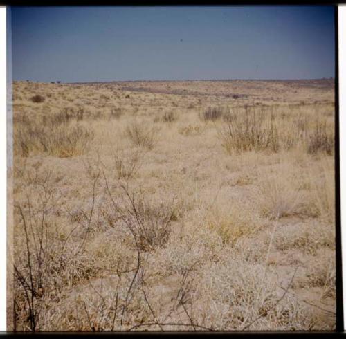 Scenery, Veld: Expedition trucks, distant view from a bank of the Eiseb omuramba