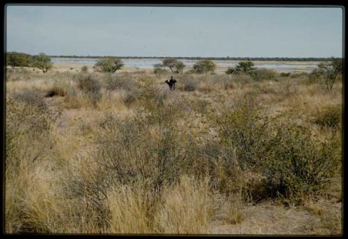 Scenery, Veld: Person carrying bags on a carrying stick, with a pan in the distance