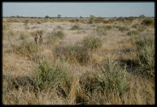 Scenery, Veld: Two men walking through flat veld and brush, view from behind