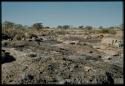 Scenery, Veld: Rocky ledge with aloes