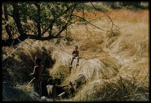 Scenery, "Water Hole": Boys sitting and standing around a waterhole, surrounded by thick grass