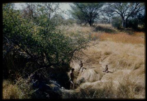 Scenery, "Water Hole": Boys sitting and standing around a waterhole, surrounded by thick grass