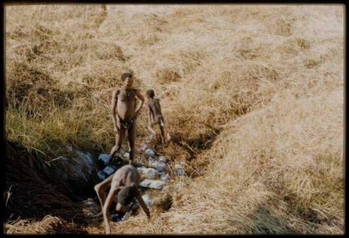 Scenery, "Water Hole": Boys climbing out of and standing around a waterhole, surrounded by heavy grass