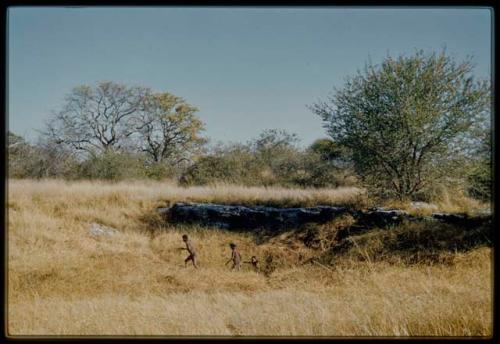 Scenery, "Water Hole": Boys walking up out of a waterhole, surrounded by heavy grass