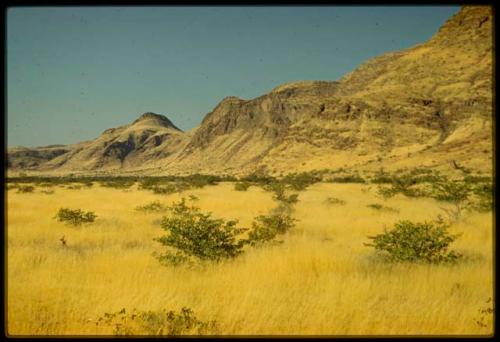 Scenery, Mountains: Yellow grass and brush at the base of a mountain