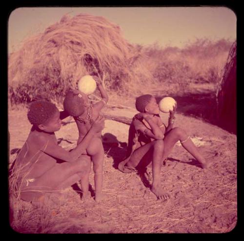 Children, Eating: /Gunda (N!ai's husband) steadies a child while the child drinks from an ostrich eggshell, and a woman sitting next to them also drinking from an egg shell