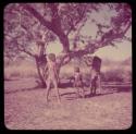 Children, Groups, Play: Child swinging from a tree, with other children standing nearby, naqm (swing)