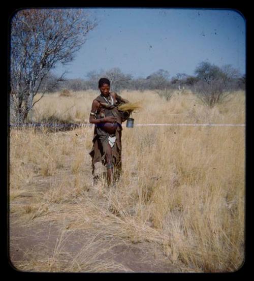 Grass: Woman carrying grass in her kaross