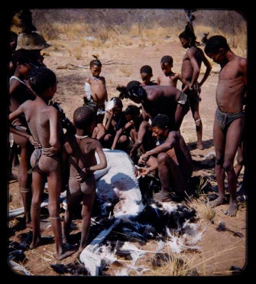 Hunting, Ostrich: Group of people clustered around a dead ostrich, many wearing feathers in their hair and one man wearing a helmet