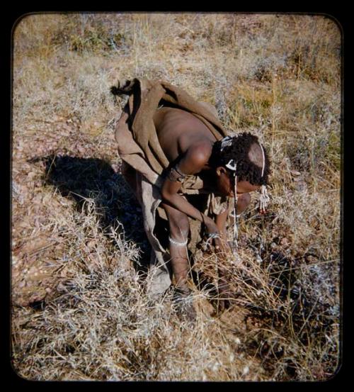 Food Gathering, Children: Woman bending down to gather tsi