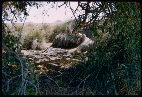 Orupembe waterhole