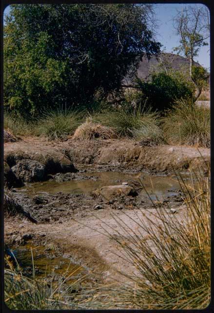 Orupembe waterhole