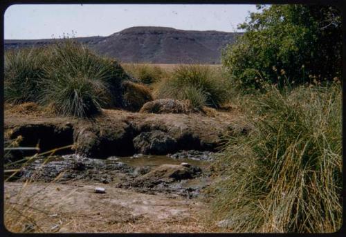Orupembe waterhole