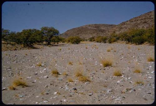 Dry river bed, west side of the Baynes Mountains