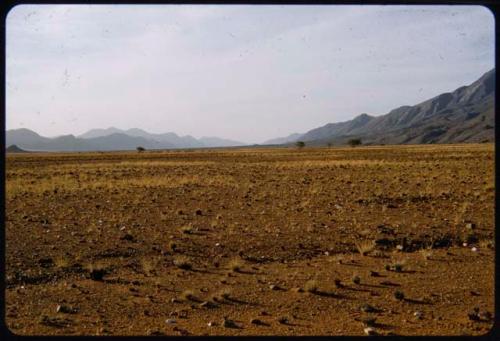 Landscape with scant grass and distant hills, in the Baynes Mountains