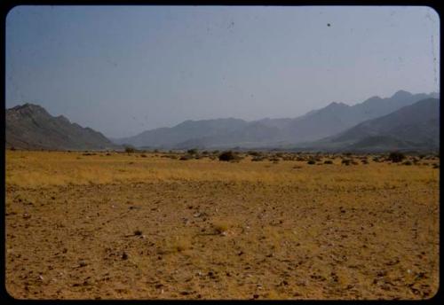 Landscape with scant grass and distant hills, in the Baynes Mountains