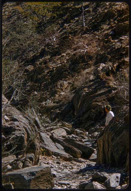 Expedition member standing in a dry water course on the east side of Hartmann Mountains