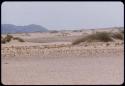 Beginning of sand dunes near the Kunene River, west of the Hartmann Mountains