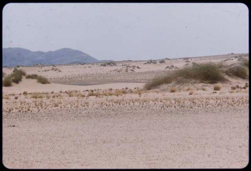 Beginning of sand dunes near the Kunene River, west of the Hartmann Mountains