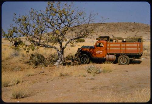 Expedition truck (Dodge) parked next to a tree