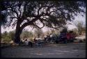 Expedition camp under a tree