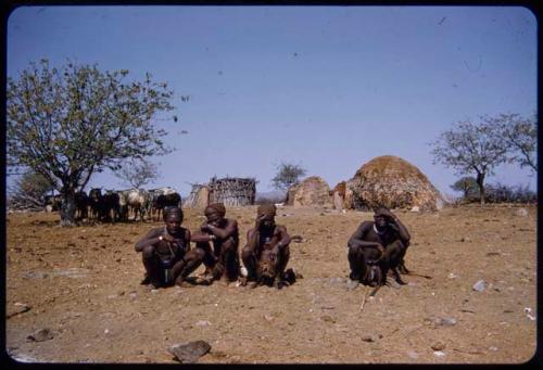 Four men sitting, with cattle and huts in the background