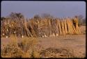 Bundles of grass and gourds against a kraal fence