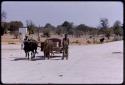 Two men walking next to a water cart pulled by two oxen