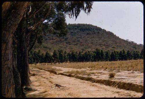 Zoological Technical Institute land