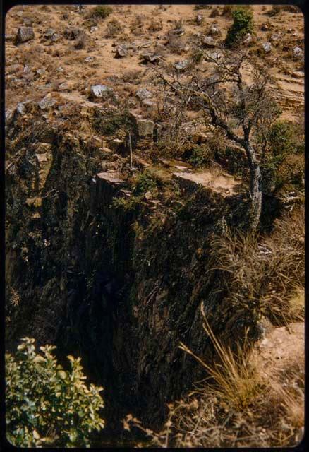 Spring beyond a tree at highest point in the countryside, at the Bimbe Gorge, also called Alto Bimbe