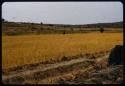 Farm along a road near Humpata