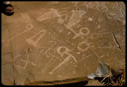 Petroglyphs on rocks on Prinsloo Farm