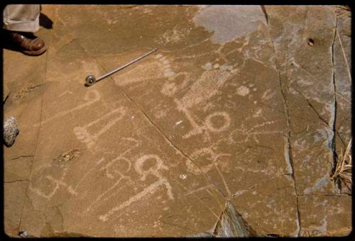 Petroglyphs on rocks on Prinsloo Farm, with ruler for measurement