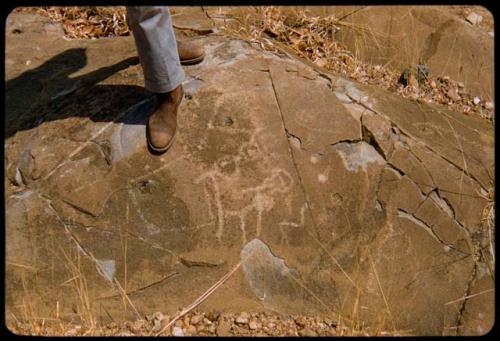 Person standing on a rock with a petroglyph on Prinsloo Farm, close-up