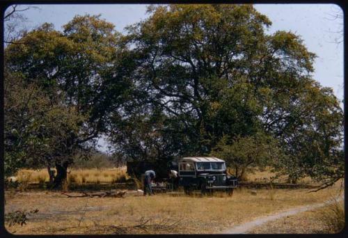 Expedition members leaning over next to the expedition truck (Land Rover) parked under a tree