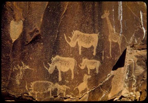 Petroglyph of rhinos, close-up