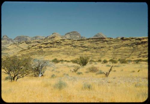 Landscape with golden grass and low pyramid-shaped hills