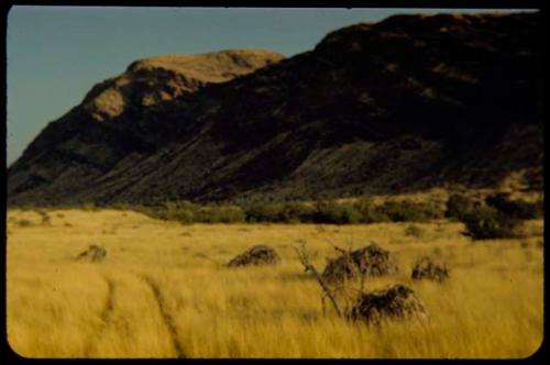 Track through grass, with a hill in the background